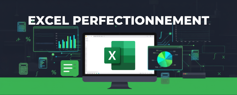 Excel Perfectionnement