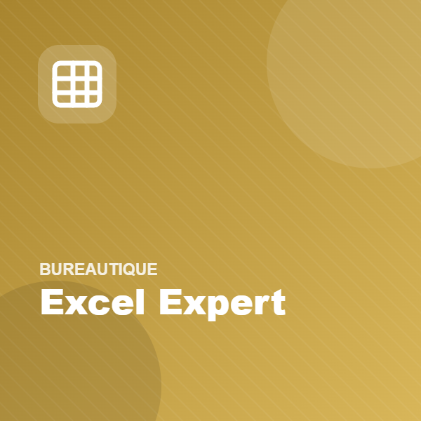 Excel Perfectionnement — Niveau expert